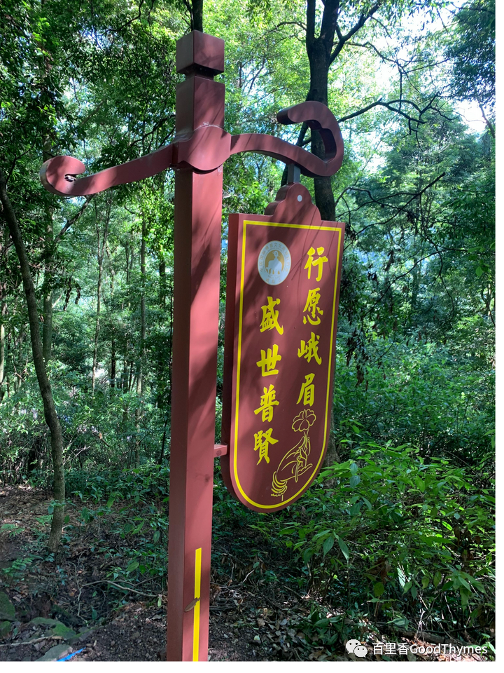 旅行攻略武夷山_武夷山两日旅游攻略_攻略旅游武夷山路线
