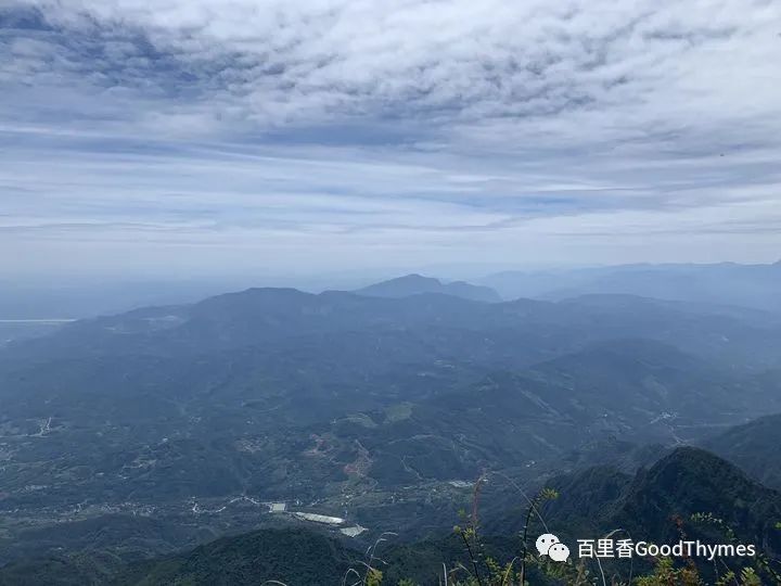 武夷山两日旅游攻略_旅行攻略武夷山_攻略旅游武夷山路线