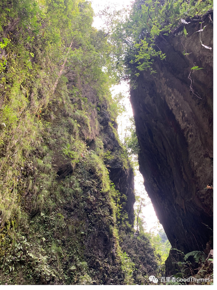 武夷山两日旅游攻略_攻略旅游武夷山路线_旅行攻略武夷山