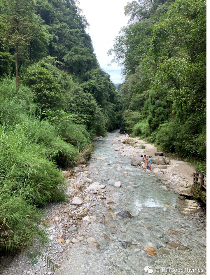 武夷山两日旅游攻略_攻略旅游武夷山路线_旅行攻略武夷山