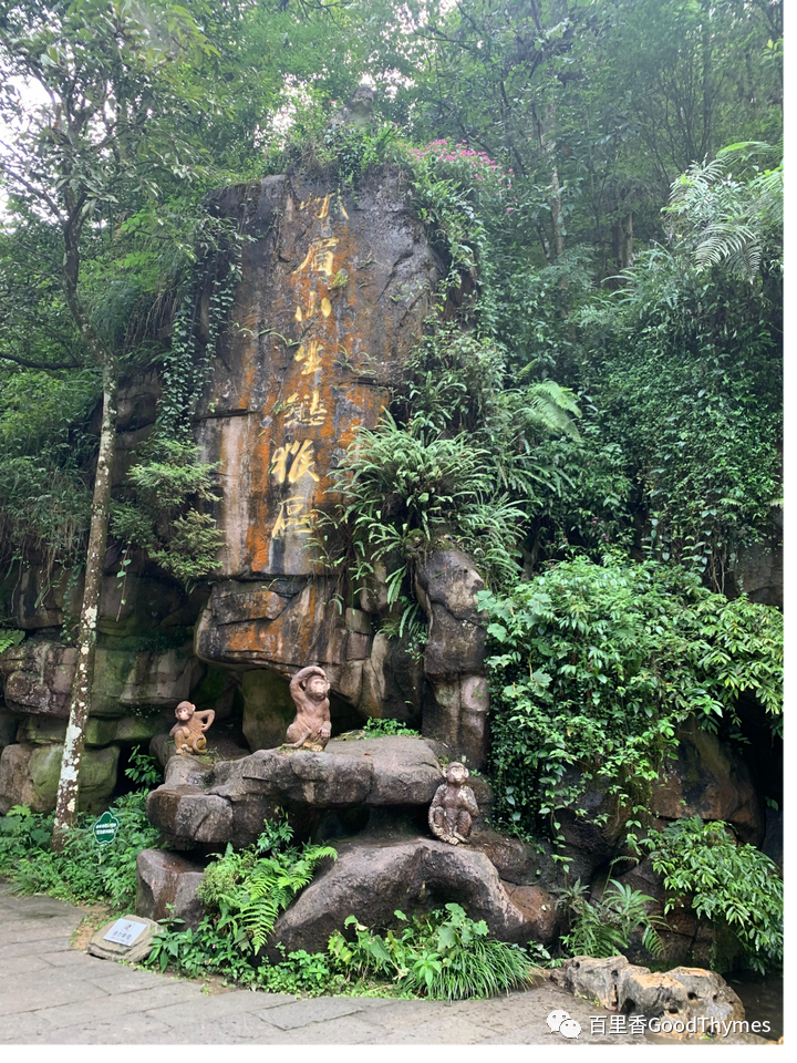 旅行攻略武夷山_武夷山两日旅游攻略_攻略旅游武夷山路线