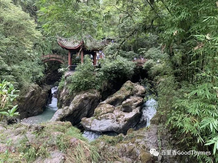旅行攻略武夷山_攻略旅游武夷山路线_武夷山两日旅游攻略