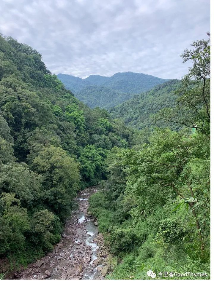 攻略旅游武夷山路线_旅行攻略武夷山_武夷山两日旅游攻略