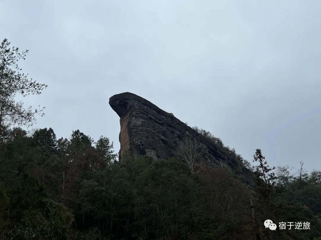 武夷山两日旅游攻略_武夷山旅游攻略1日游_攻略旅游武夷山路线