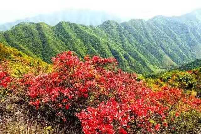 安微泾县旅游景点大全_安徽泾县旅游攻略_安徽泾县好玩吗