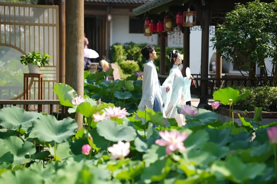 仙女湖最佳旅游攻略_仙女湖功略_仙女湖自驾游攻略