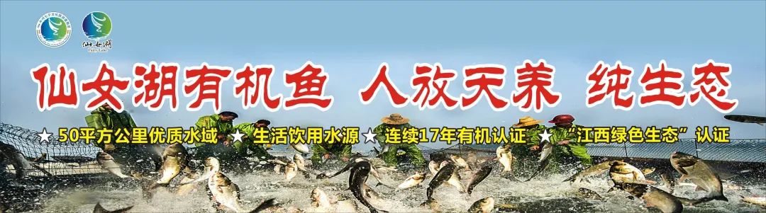 仙女湖最佳旅游攻略_仙女湖功略_仙女湖自驾游攻略