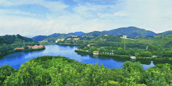 梅州雁鸣湖旅游攻略_梅州雁鸣湖旅游度假村官方网站_梅州雁鸣湖景区图片