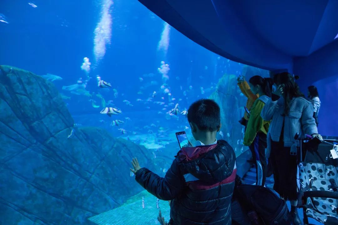 天柱山风景天气_天气攻略天柱旅游山庄_天柱山天气旅游攻略