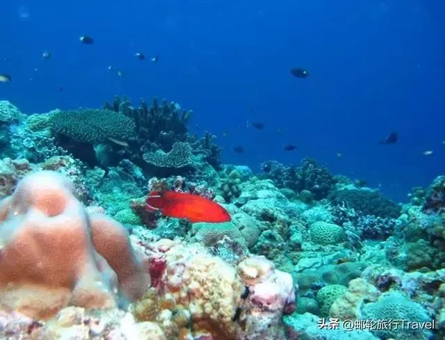 海南西沙群岛旅游攻略_海南西沙群岛旅游价格_海南群岛攻略西沙旅游怎么样