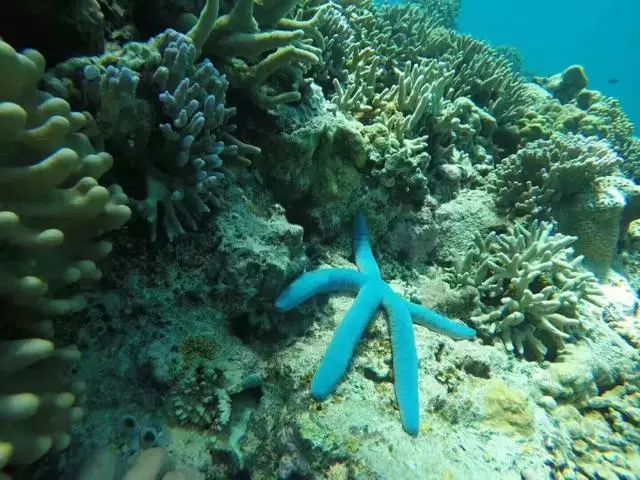 海南群岛攻略西沙旅游怎么样_海南群岛攻略西沙旅游_海南西沙群岛旅游攻略