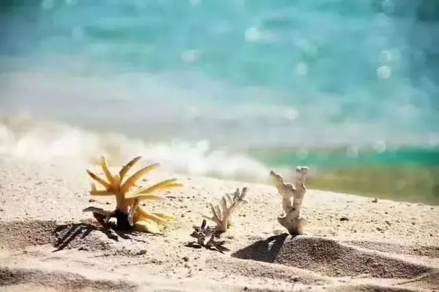 海南群岛攻略西沙旅游怎么样_海南西沙群岛旅游攻略_海南群岛攻略西沙旅游