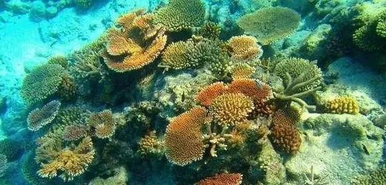 海南西沙群岛旅游攻略_海南群岛攻略西沙旅游怎么样_海南群岛攻略西沙旅游