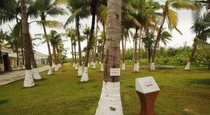 海南群岛攻略西沙旅游_海南西沙群岛旅游攻略_海南群岛攻略西沙旅游怎么样
