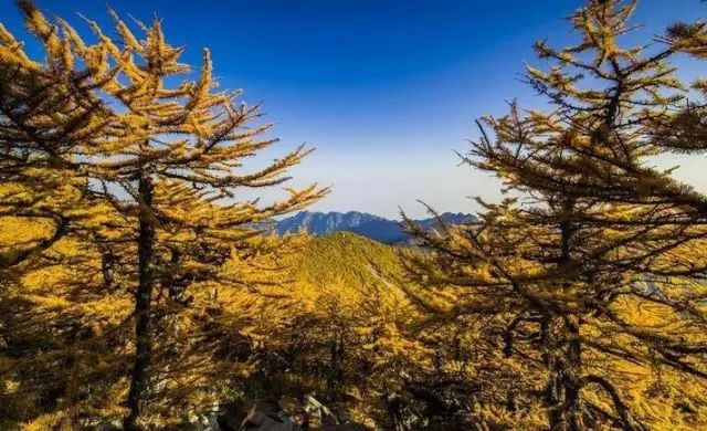 西安太白山景区_西安太白山旅游攻略_西安太白山一日游