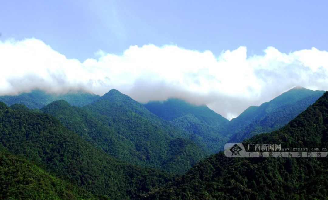 广西桂平西山风景区门票多少钱_广西桂平西山旅游攻略_广西桂平市西山风景区门票