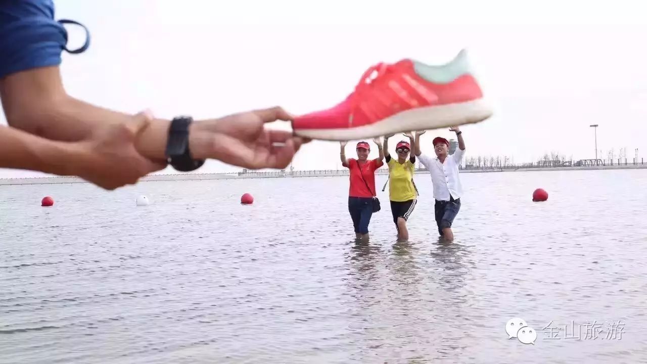 上海金山旅游景点大全排名_上海金山旅游景点推荐_上海金山旅游攻略