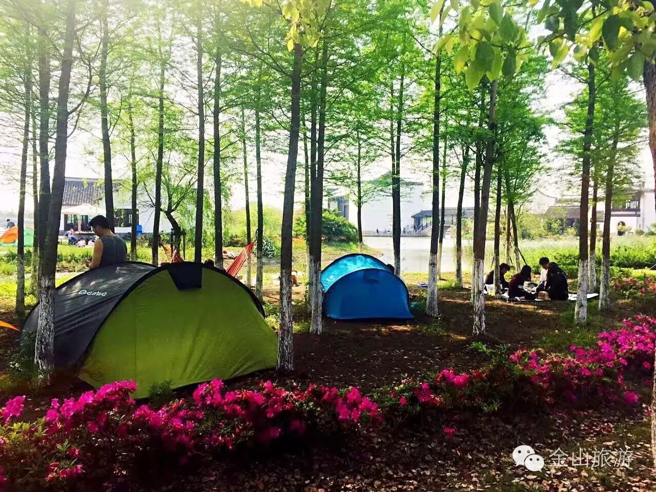 上海金山旅游攻略_上海金山旅游景点大全排名_上海金山旅游景点推荐