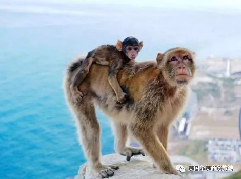 帕劳群岛地图上的位置_帕劳群岛旅游攻略_帕劳群岛图片欣赏
