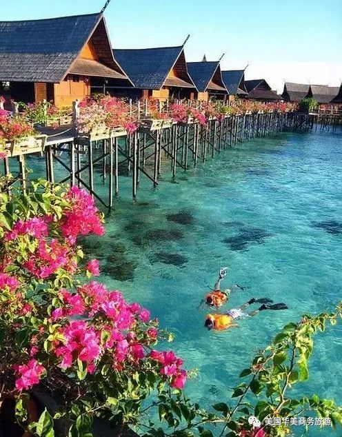 帕劳群岛旅游攻略_帕劳群岛图片欣赏_帕劳群岛地图上的位置