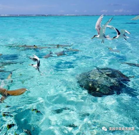 帕劳群岛地图上的位置_帕劳群岛图片欣赏_帕劳群岛旅游攻略