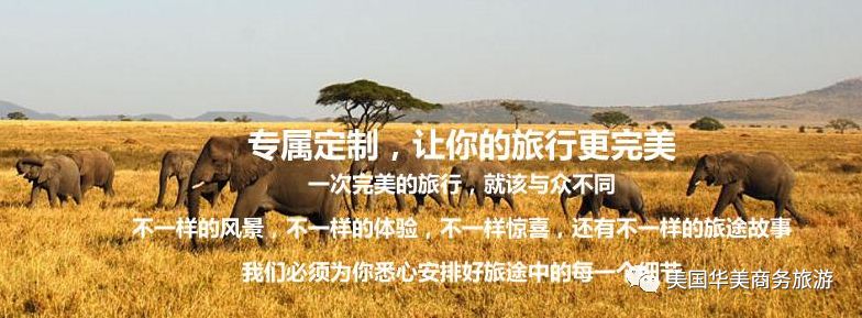 帕劳群岛图片欣赏_帕劳群岛旅游攻略_帕劳群岛地图上的位置