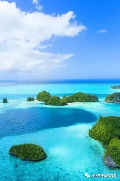 帕劳群岛图片欣赏_帕劳群岛地图上的位置_帕劳群岛旅游攻略