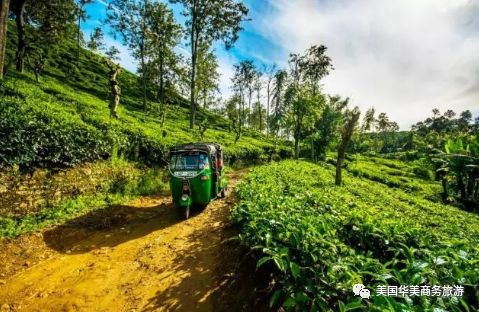 帕劳群岛图片欣赏_帕劳群岛地图上的位置_帕劳群岛旅游攻略