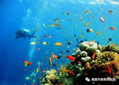 帕劳群岛旅游攻略_帕劳群岛地图上的位置_帕劳群岛图片欣赏