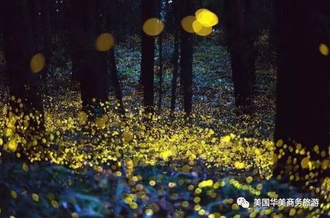 帕劳群岛旅游攻略_帕劳群岛图片欣赏_帕劳群岛地图上的位置