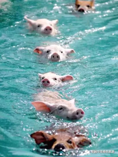 帕劳群岛旅游攻略_帕劳群岛图片欣赏_帕劳群岛地图上的位置