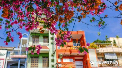 帕劳群岛旅游攻略_帕劳群岛图片欣赏_帕劳群岛地图上的位置