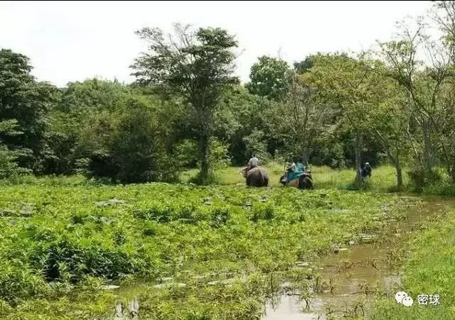 帕劳群岛地图上的位置_帕劳群岛旅游攻略_帕劳群岛视频