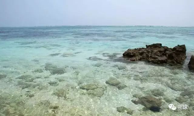帕劳群岛地图上的位置_帕劳群岛旅游攻略_帕劳群岛视频