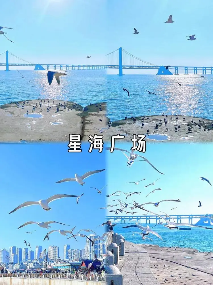 大连4天旅游攻略自助游-大连自助推荐(图12) 大连4天旅游攻略自助游_大连自助游攻略5天_大连自助推荐