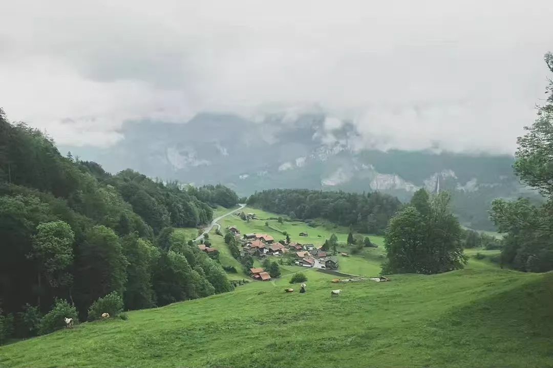 斯特拉斯堡旅游攻略_斯特拉斯堡旅游_攻略旅游斯特拉斯堡的路线