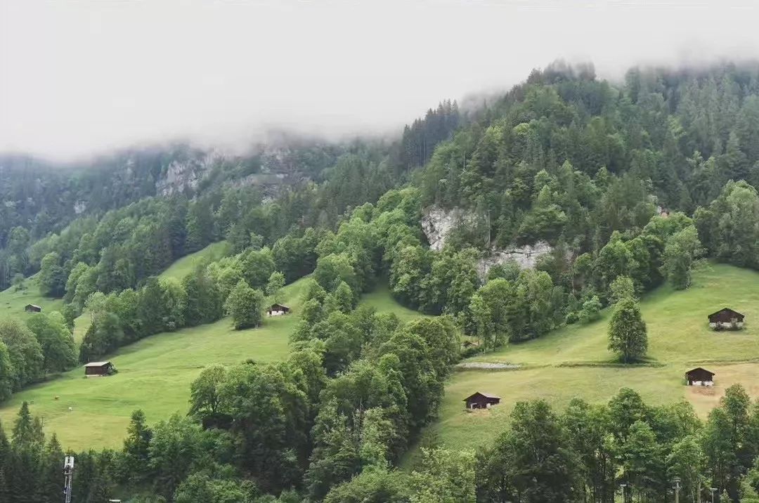 攻略旅游斯特拉斯堡的路线_斯特拉斯堡旅游攻略_斯特拉斯堡旅游