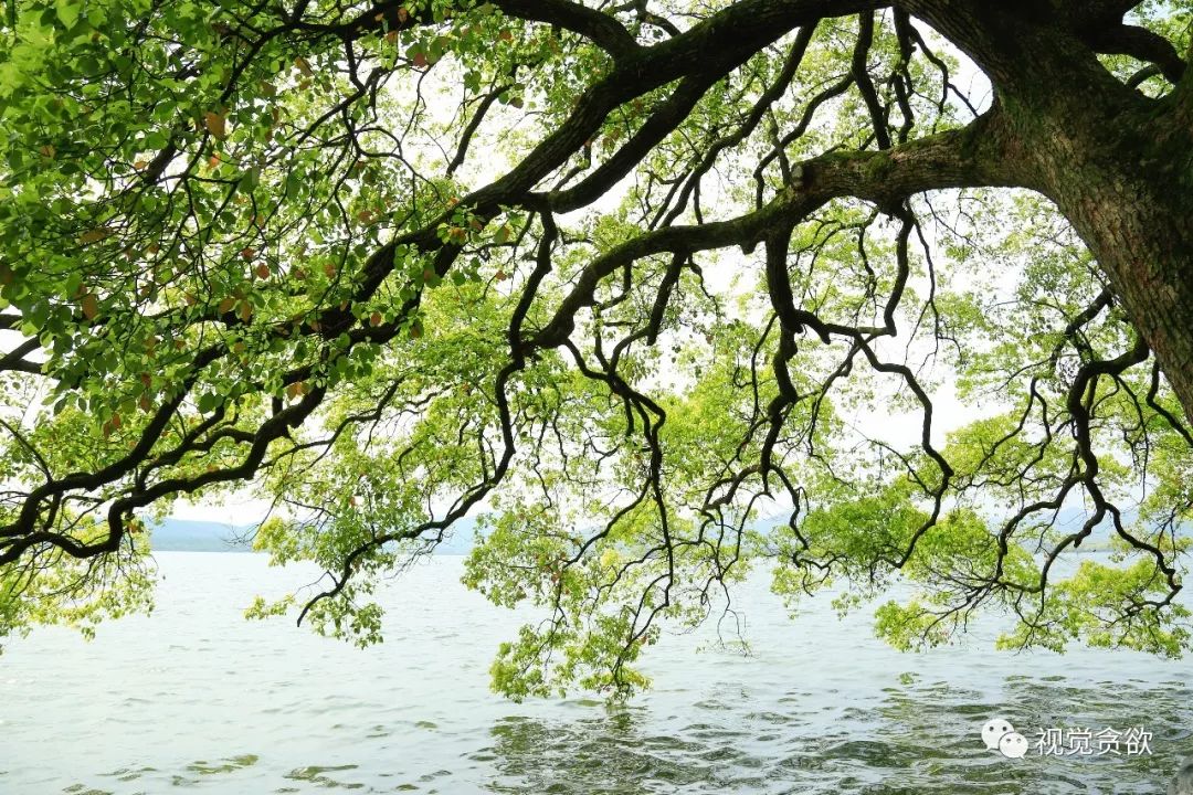 杭州千岛湖旅游景点_杭州千岛湖一日旅游攻略_杭卅千岛湖旅游