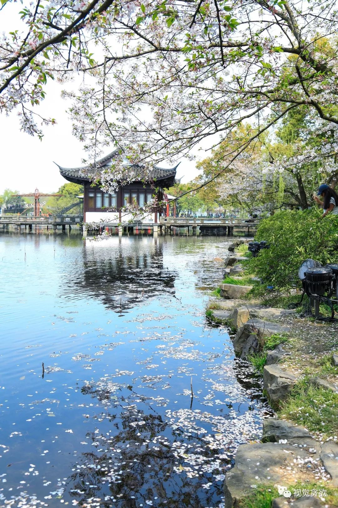 杭州千岛湖旅游景点_杭卅千岛湖旅游_杭州千岛湖一日旅游攻略