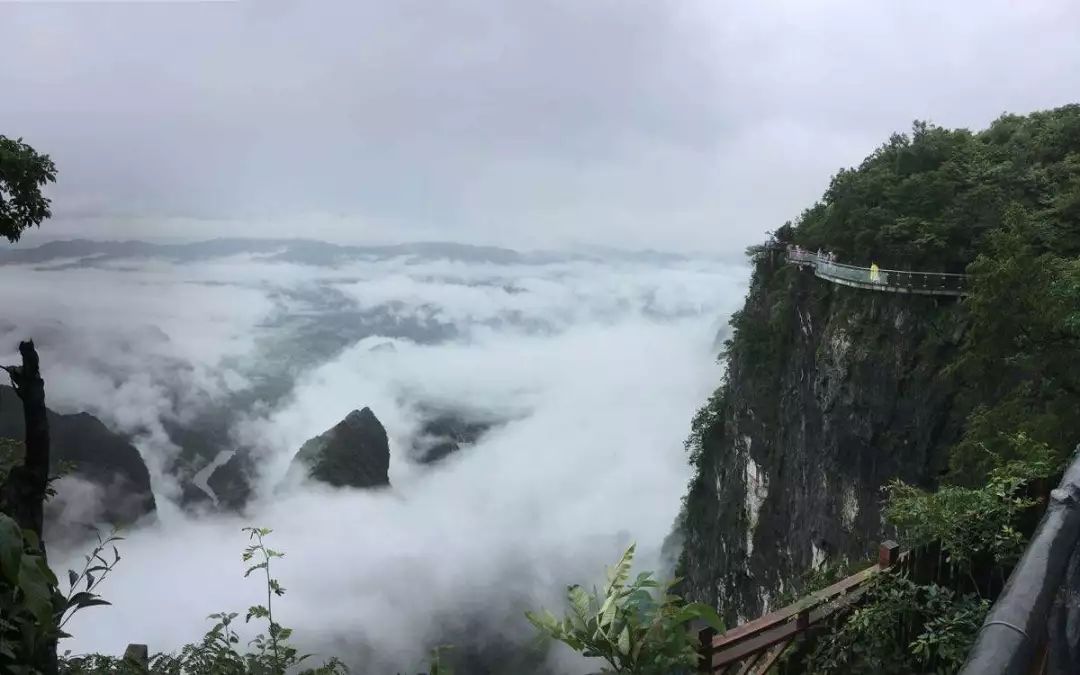 张家界攻略必去景点_张家界景区旅游攻略_张家界攻略景区旅游路线