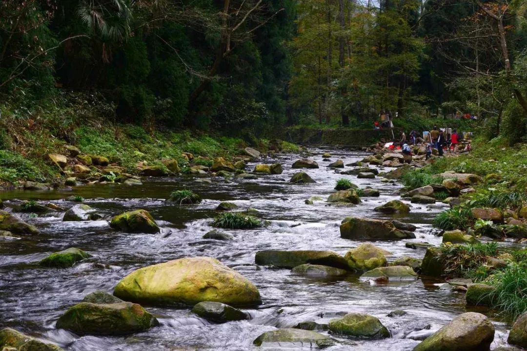 张家界攻略景区旅游路线_张家界景区旅游攻略_张家界攻略必去景点