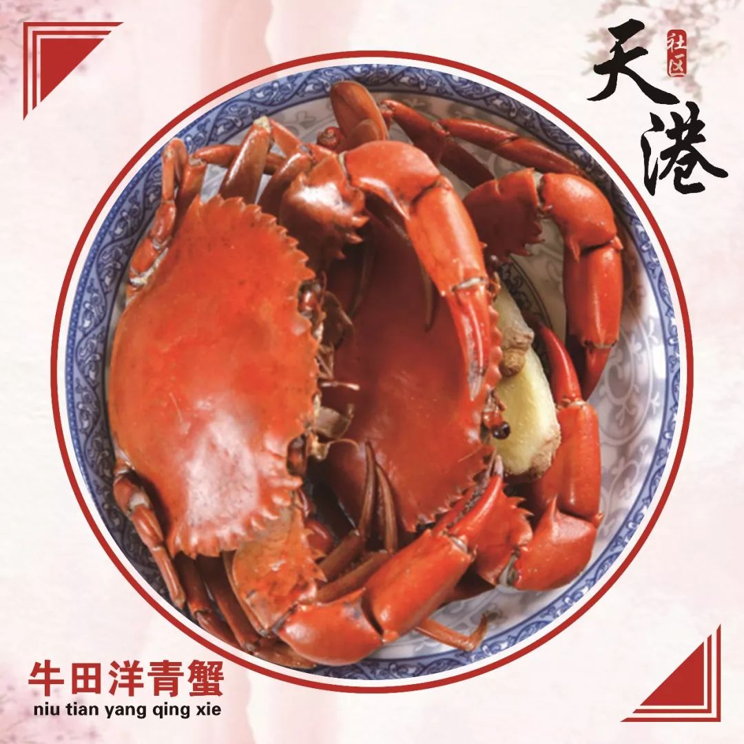 汕头金平哪里好玩_汕头金平区一日游_汕头金平旅游攻略