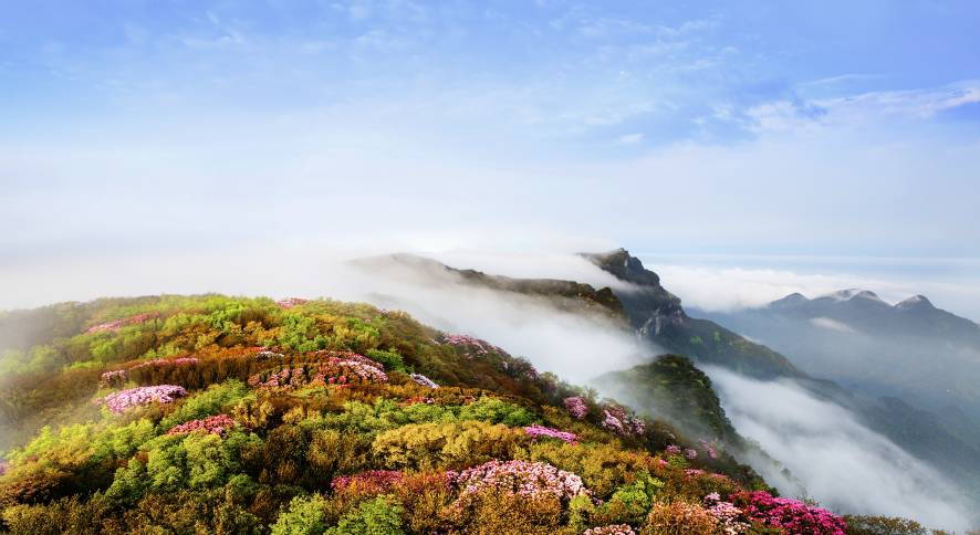 重庆金佛山的佛_重庆金佛山避暑游_重庆金佛山旅游攻略