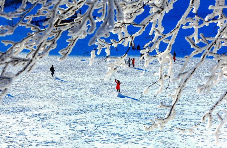 重庆金佛山的佛_重庆金佛山避暑游_重庆金佛山旅游攻略
