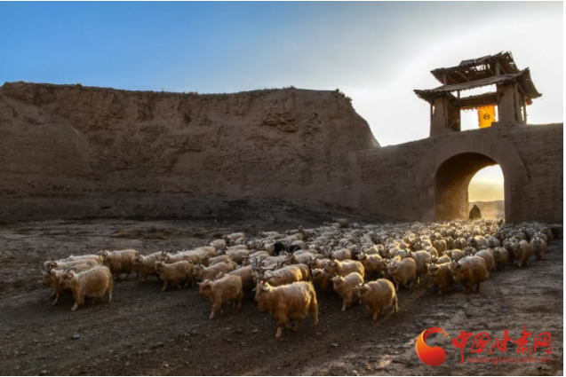 景泰黄河石林门票多少钱_景泰黄河石林旅游攻略_景泰黄河石林自驾游攻略