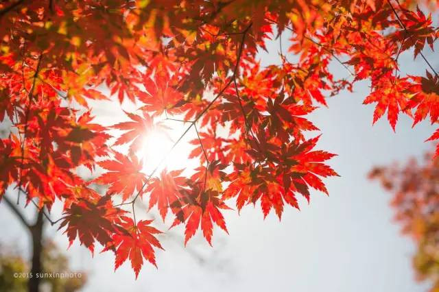 吉林市旅游攻略_吉林旅游点_吉林旅游胜地