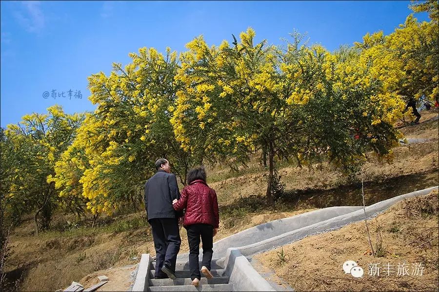 新丰樱花峪的门票_新丰樱花峪旅游攻略_新丰樱花峪好玩吗
