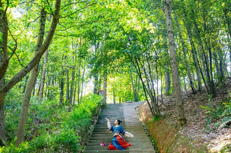lm13700是什么芯片_新余仙女湖旅游攻略_鞠婧祎红色嫁衣