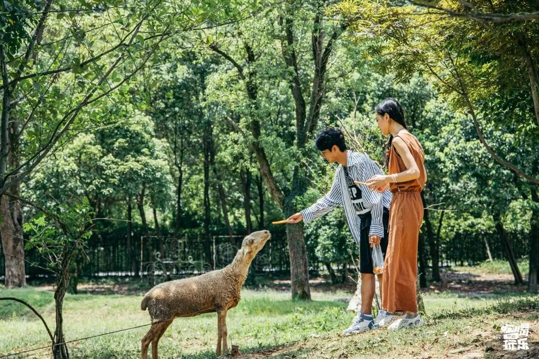 新余仙女湖旅游攻略_鞠婧祎红色嫁衣_lm13700是什么芯片