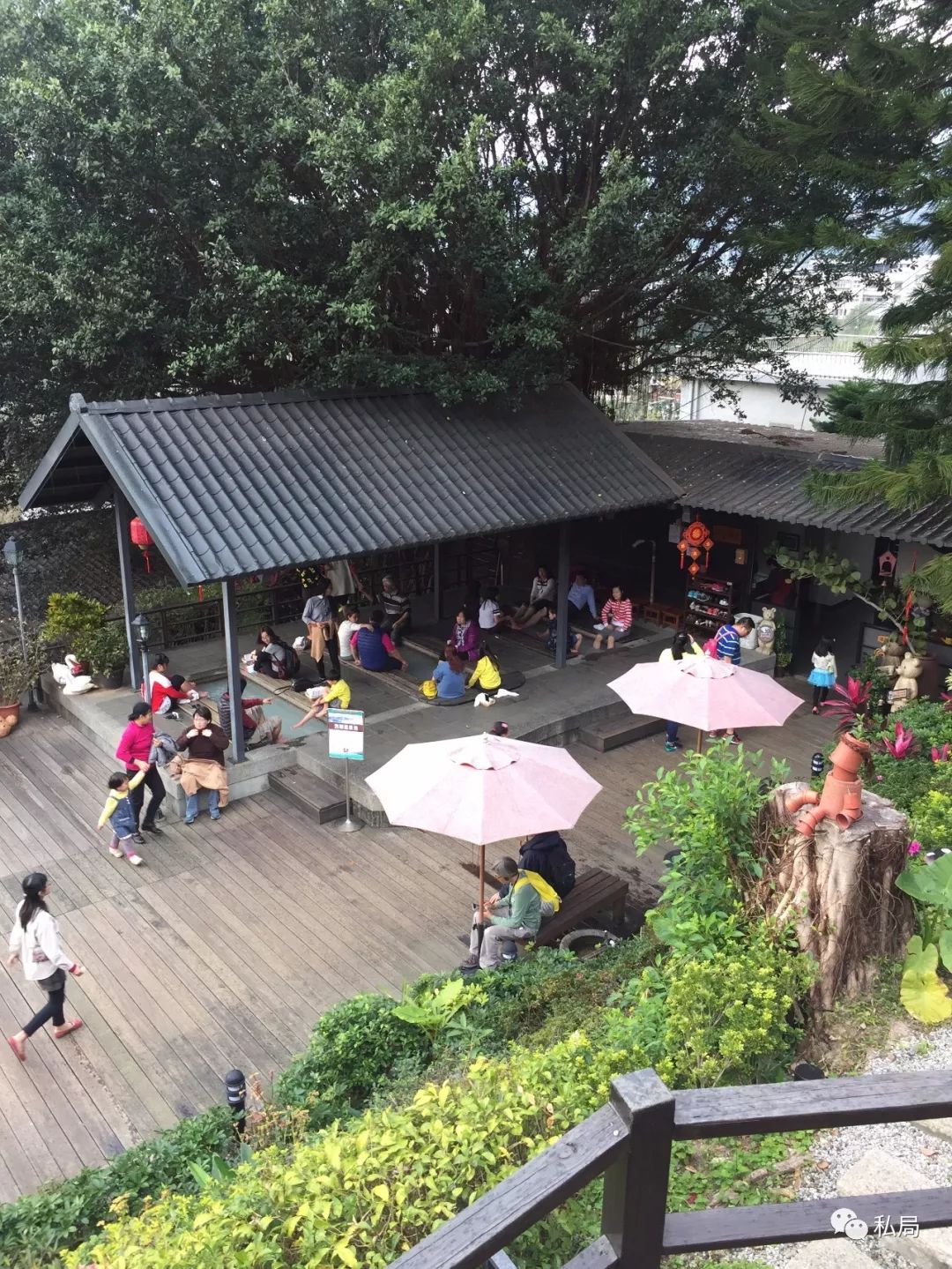 台北阳明山一日游_台北阳明山旅游攻略_台北阳明山温泉酒店